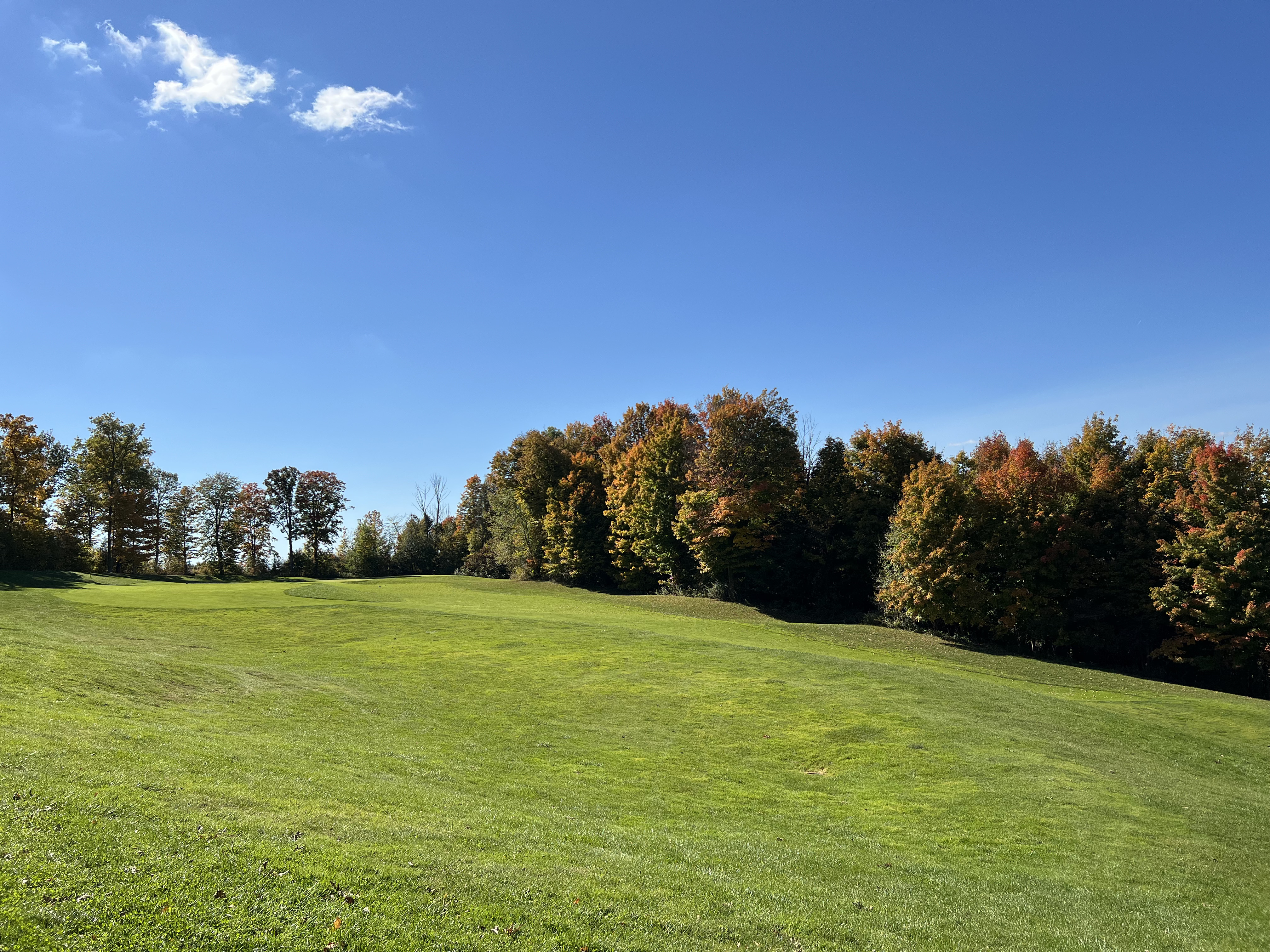 Image of golf ball on tee on grass.